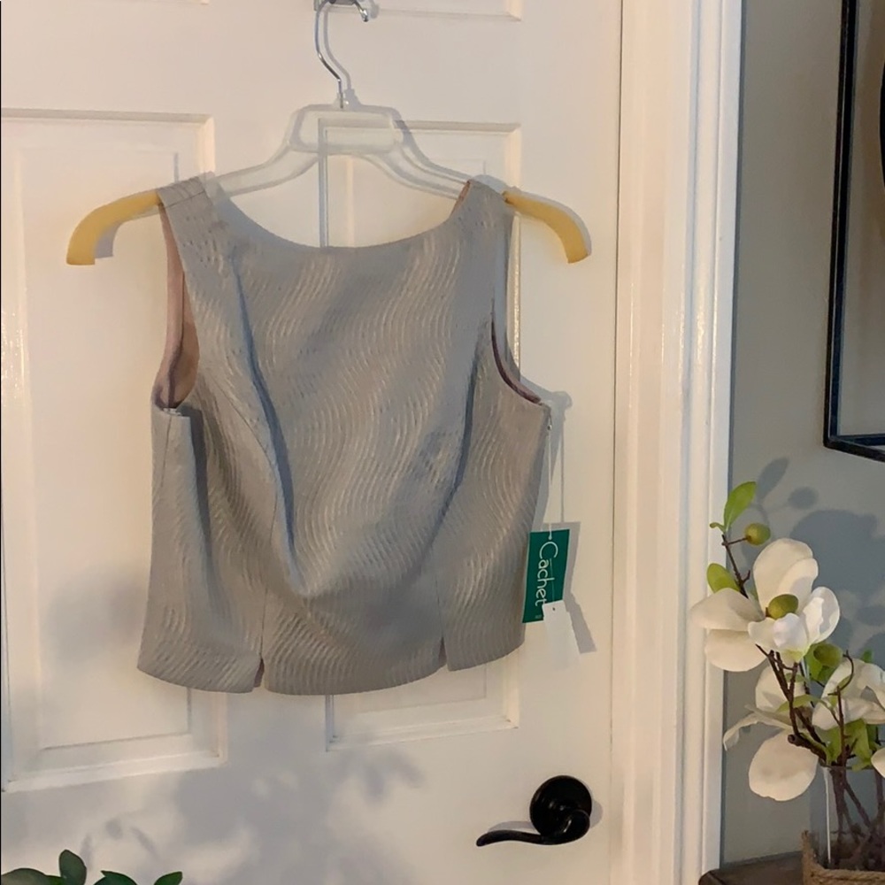 Cachet Silver Fitted Top